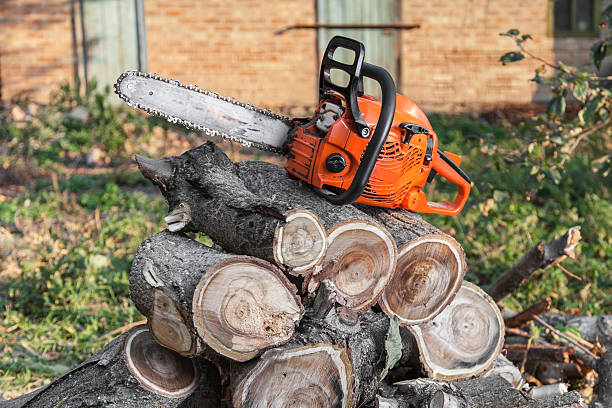 Best Residential Tree Removal  in Magnolia Springs, AL